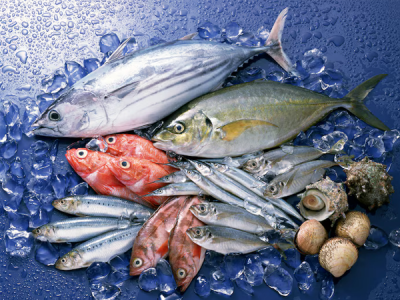 Produk_0005_hasil-ikan