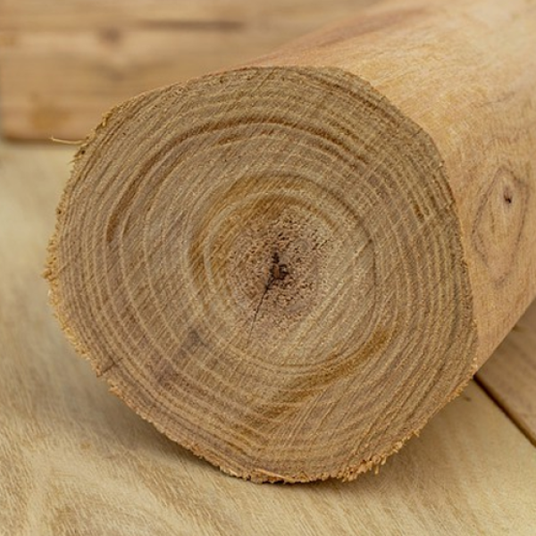 Kayu Akasia