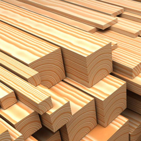Kayu Pinus