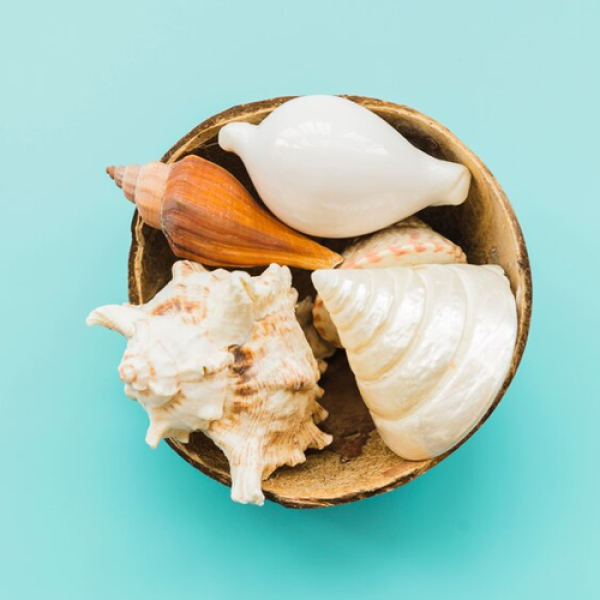 Kerang