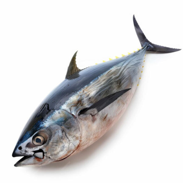 Tuna