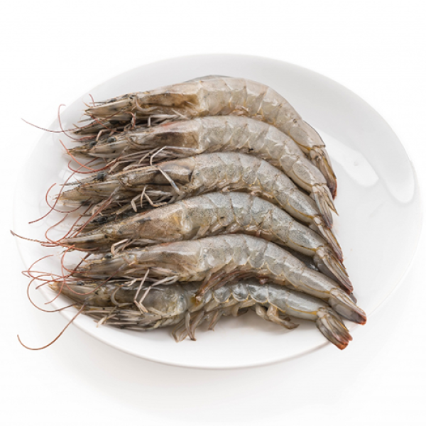 Udang